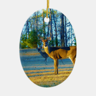 Stag / Buck  Deer, Bright blue Sky Ceramic Ornament