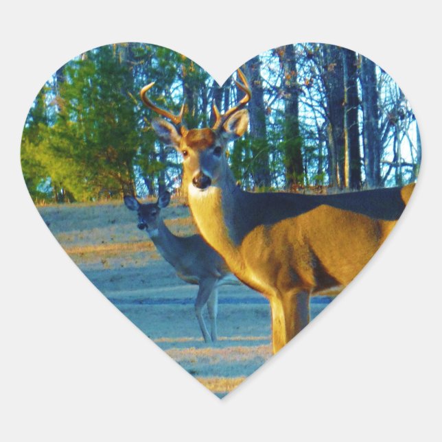 Stag / Buck  Deer, Bright blue Sky Heart Sticker (Front)