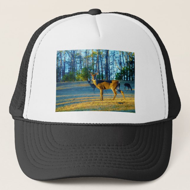 Stag / Buck  Deer, Bright blue Sky Trucker Hat (Front)