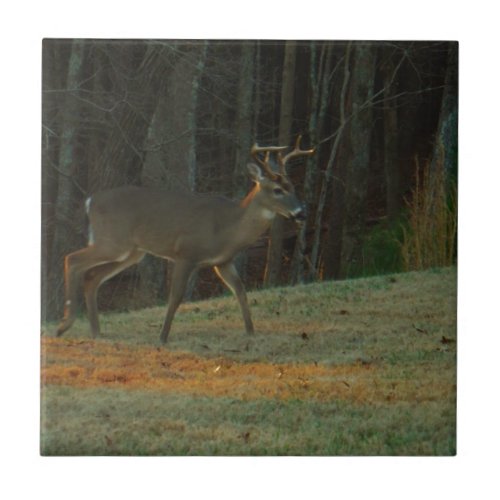 Stag  Buck  Deer Green Camouflage Tile