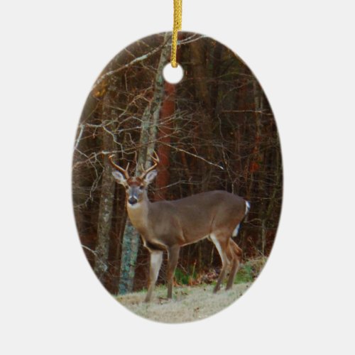 Stag  Buck  Deer Oak Camouflage Ceramic Ornament
