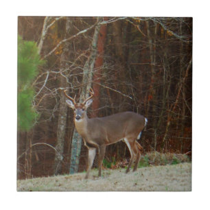Stag / Buck Deer Oak Camouflage Tile