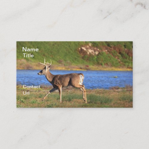 Stag Business Cards