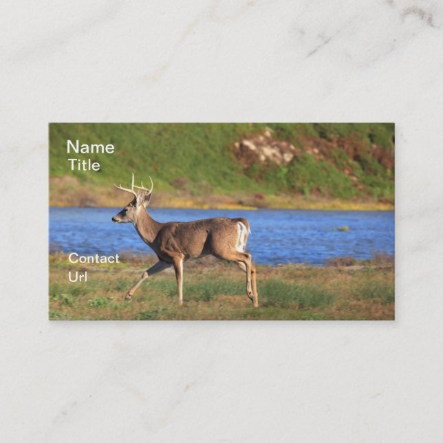 Stag Business Cards (Front)