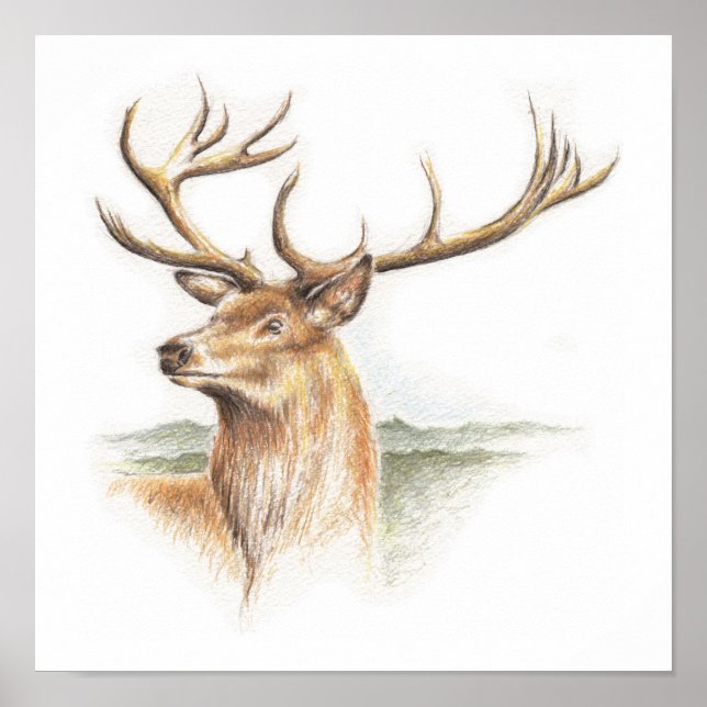Stag Deer Print (Front)