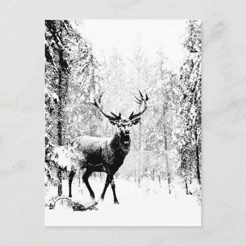 Stag Deer Winter Forest Wildlife Animal Nature Art Postcard