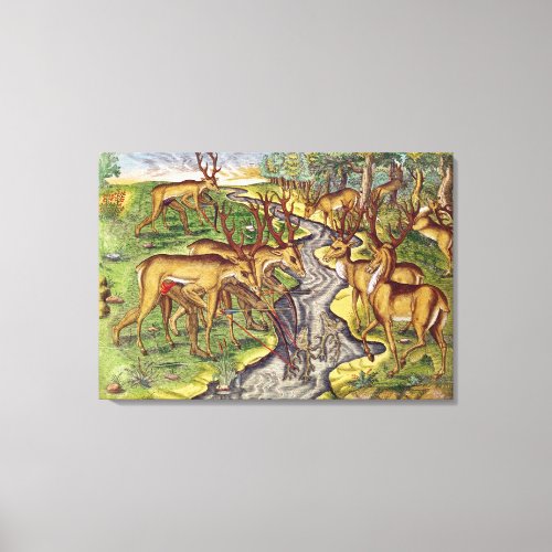 Stag Hunt from Brevis Narratio Canvas Print