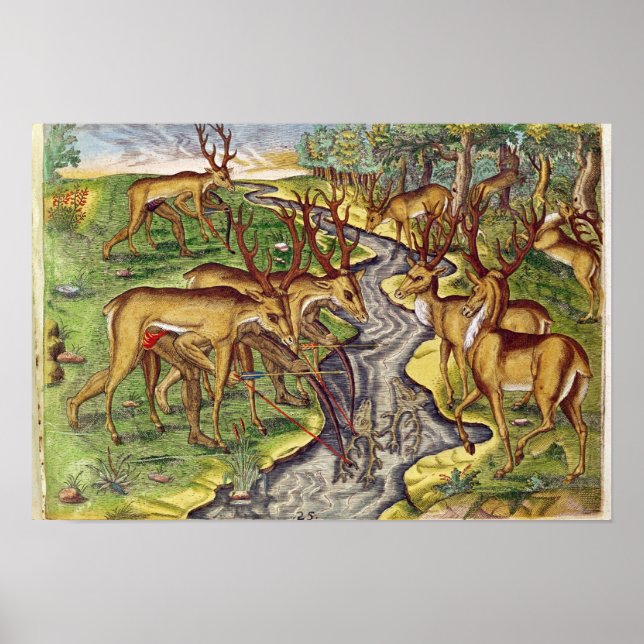 Stag Hunt, from 'Brevis Narratio' Poster (Front)