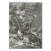 Stag In The Forest (Front)