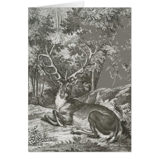 Stag In The Forest (Front)