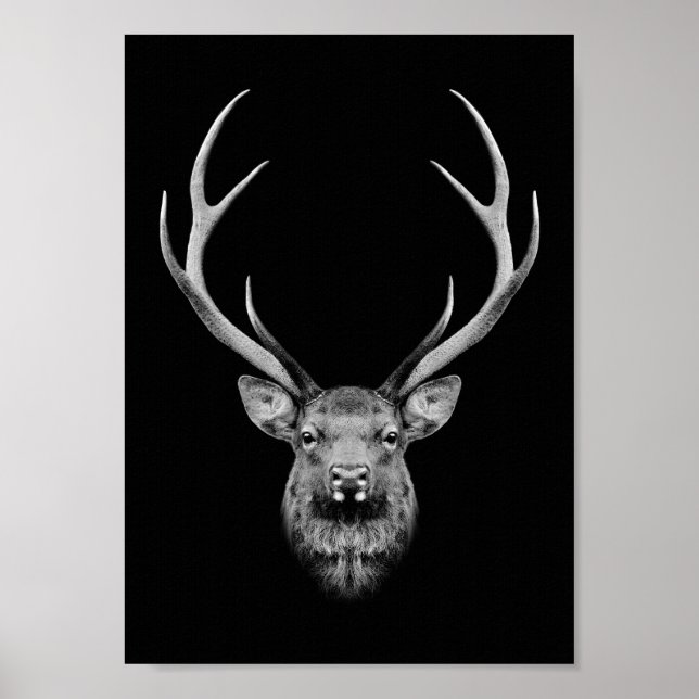 Stag poster (Front)