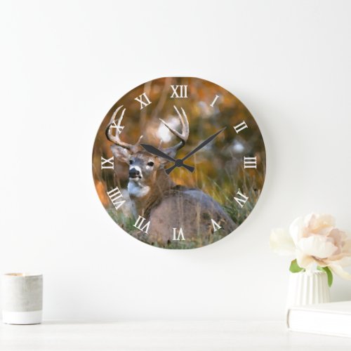 Stag Resting in Autumn Field Large Clock