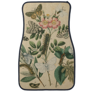 Stages of Butterfly Life by Vision Studio Car Floor Mat