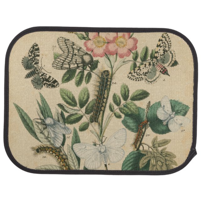 Stages of Butterfly Life by Vision Studio Car Floor Mat (Rear)