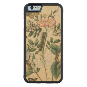 Stages of Butterfly Life by Vision Studio Carved Maple iPhone 6 Bumper Case