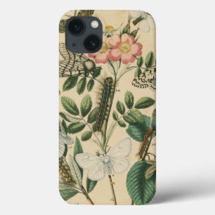 Stages of Butterfly Life by Vision Studio iPhone 13 Case
