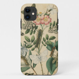 Stages of Butterfly Life by Vision Studio iPhone 11 Case