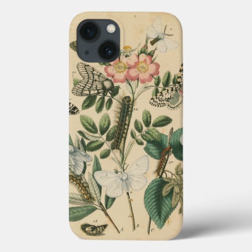 Stages of Butterfly Life by Vision Studio iPhone 13 Case