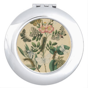 Stages of Butterfly Life by Vision Studio Compact Mirror