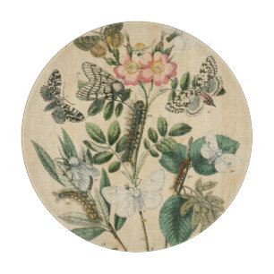 Stages of Butterfly Life by Vision Studio Cutting Board