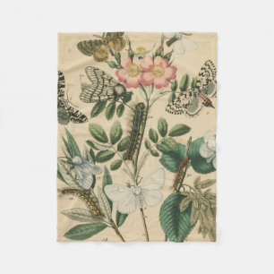 Stages of Butterfly Life by Vision Studio Fleece Blanket