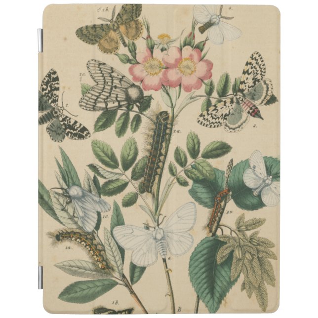 Stages of Butterfly Life by Vision Studio iPad Smart Cover (Front)