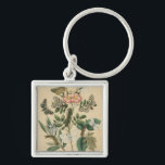 Stages of Butterfly Life by Vision Studio Keychain<br><div class="desc">All the stages of butterfly life are depicted in this piece by Vision Studio. Caterpillars,  newly hatched butterflies,  and even a larva pod are shown. If you love nature in general,  or butterflies in particular,  this is the print for you!</div>