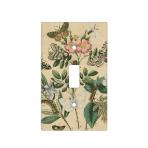 Stages of Butterfly Life by Vision Studio Light Switch Cover