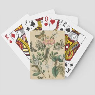Stages of Butterfly Life by Vision Studio Poker Cards