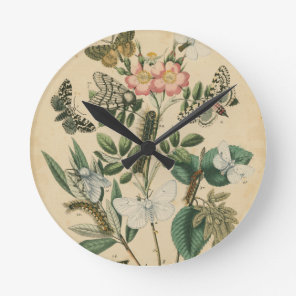 Stages of Butterfly Life by Vision Studio Round Clock