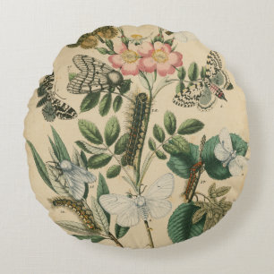 Stages of Butterfly Life by Vision Studio Round Pillow