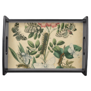 Stages of Butterfly Life by Vision Studio Serving Tray