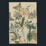 Stages of Butterfly Life by Vision Studio Towel<br><div class="desc">All the stages of butterfly life are depicted in this piece by Vision Studio. Caterpillars,  newly hatched butterflies,  and even a larva pod are shown. If you love nature in general,  or butterflies in particular,  this is the print for you!</div>