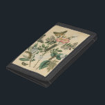 Stages of Butterfly Life by Vision Studio Tri-fold Wallet<br><div class="desc">All the stages of butterfly life are depicted in this piece by Vision Studio. Caterpillars,  newly hatched butterflies,  and even a larva pod are shown. If you love nature in general,  or butterflies in particular,  this is the print for you!</div>