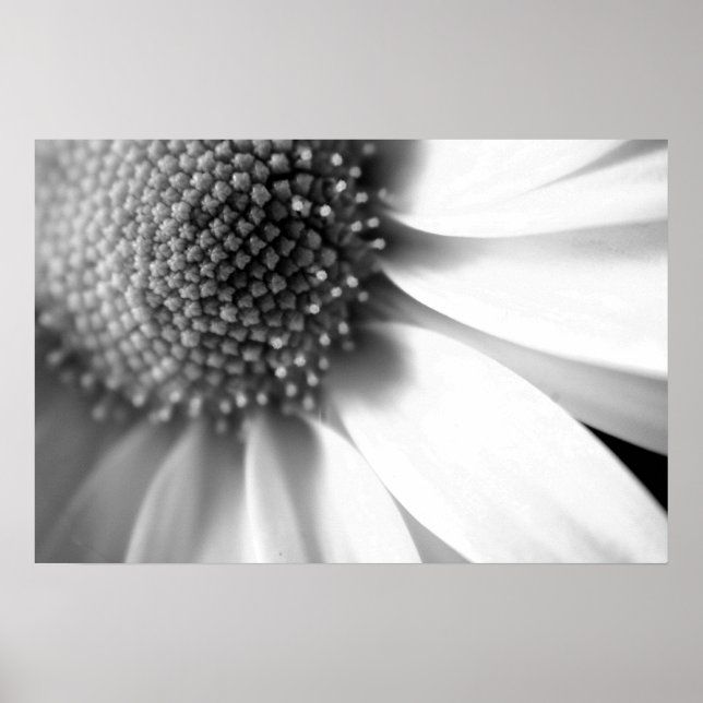 Stages of Life Poster (Front)