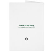 Staghorn Fern Cards (Back)