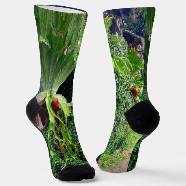 Staghorn Ferns On A Wall, Crew Socks (Angled)