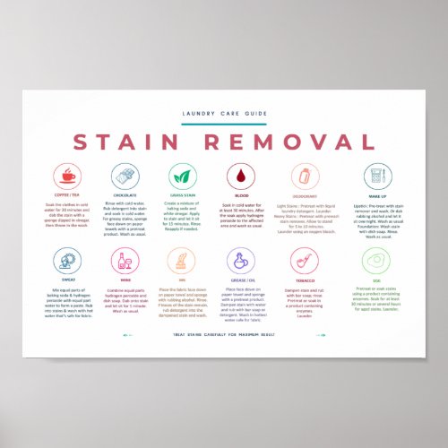 Stain Removal Laundry Room Symbols Guide Colorful Poster
