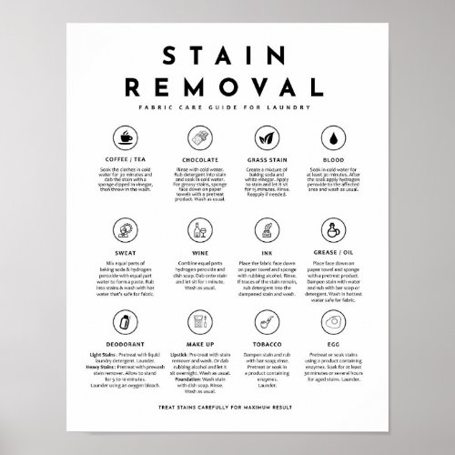 Stain Removal Laundry Symbols Guide Care Poster