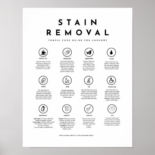 Stain Removal Laundry Symbols Guide Care Poster