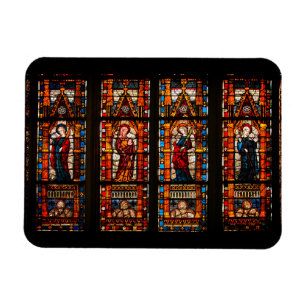 Stained glass detail, Troyes Cathedral Magnet