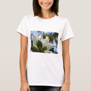 Stained Glass Sky Southern Magnolia Gifts Apparel T-Shirt