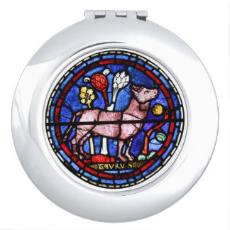 Stained Glass Windows Chartres - Compact Mirror