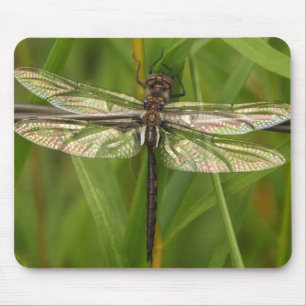 Stained Glass Wings Dragonfly Mousepad