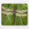 Stained Glass Wings Dragonfly Mousepad