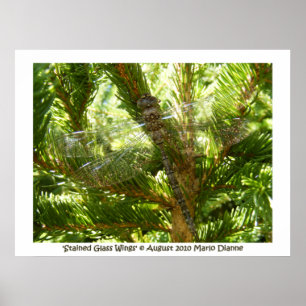 'Stained Glass Wings' Poster