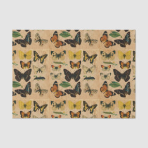 Stained Vintage Butterfly Collections Decoupage Tissue Paper