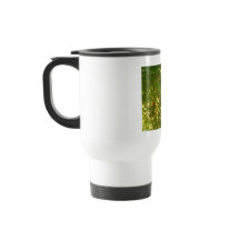 Stainless Steel Travel/Commuter Mug, 15 oz