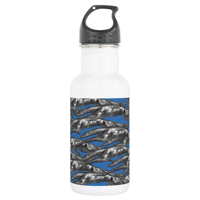  STAINLESS STEEL WATER BOTTLE (Front)