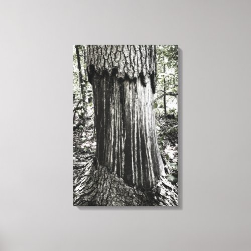 Stains Exposed Canvas Print